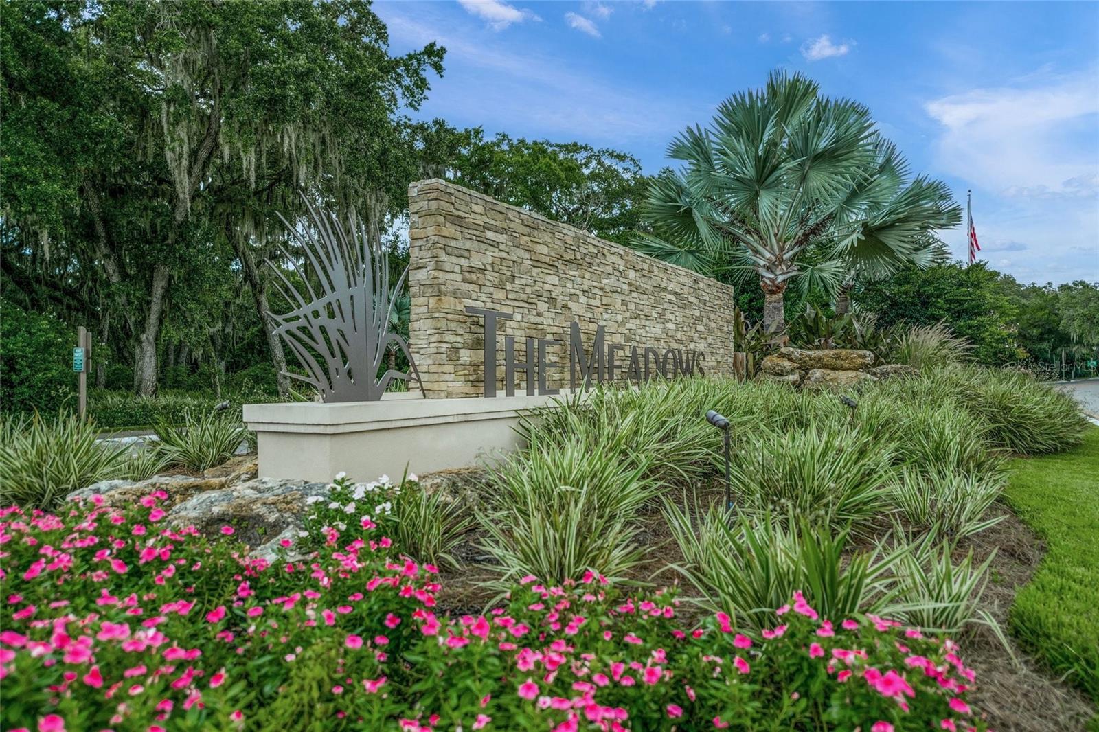 THE MEADOWS/CHANDLERS FORDE - Residential