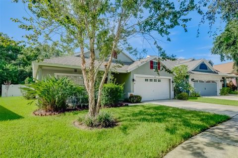 A home in RIVERVIEW