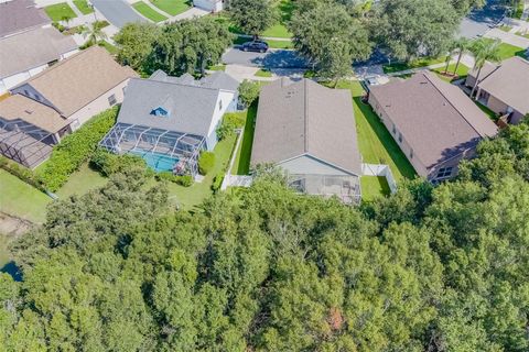 A home in RIVERVIEW