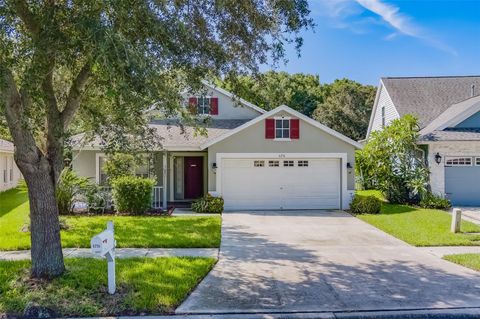 A home in RIVERVIEW