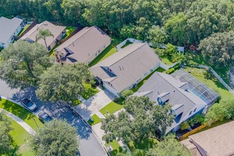 A home in RIVERVIEW