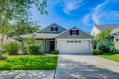 A home in RIVERVIEW