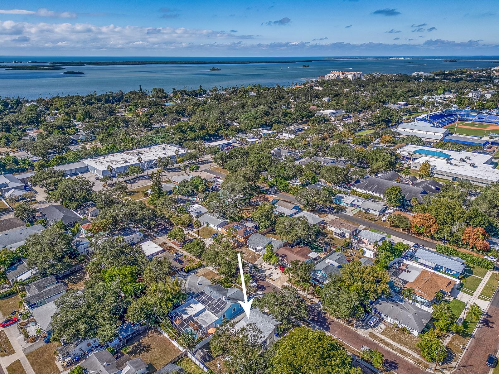 VIRGINIA PARK - Residential