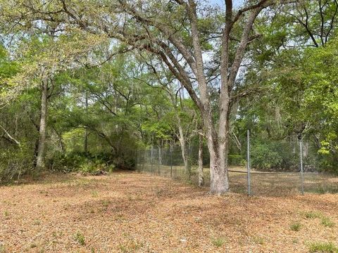 Tiny photo for E Hwy 318, Citra, FL 32113 (MLS # TB8511279)