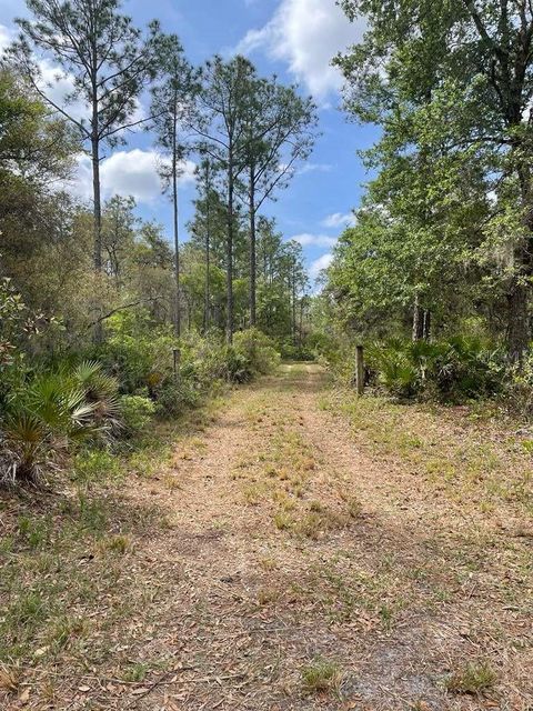 Photo of E Hwy 318, Citra, FL 32113 (MLS # TB8511279)
