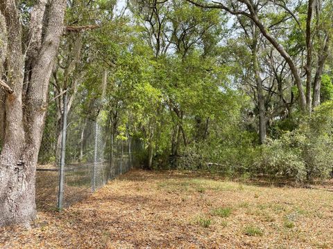 Tiny photo for E Hwy 318, Citra, FL 32113 (MLS # TB8511279)