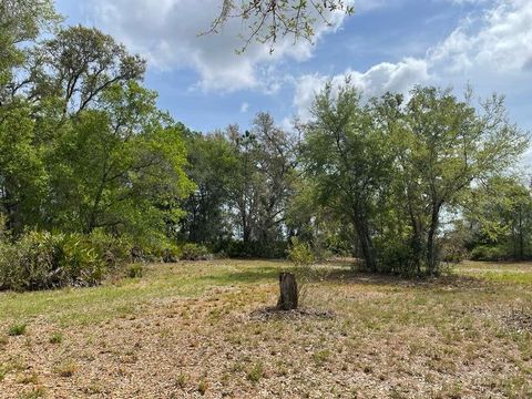 Tiny photo for E Hwy 318, Citra, FL 32113 (MLS # TB8511279)