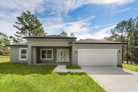 Photo of 9371 N Cougar Paw Drive, Dunnellon, FL 34433 (MLS # O6344425)