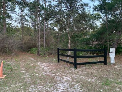 Tiny photo for 5085 N Princewood Drive, Beverly Hills, FL 34465 (MLS # OM713448)