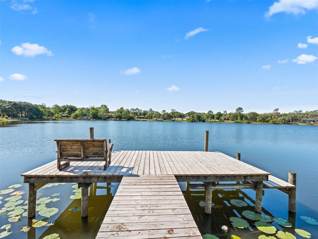 Photo of 214 Fisher Run, Ocklawaha, FL 32179 (MLS # OM724104)