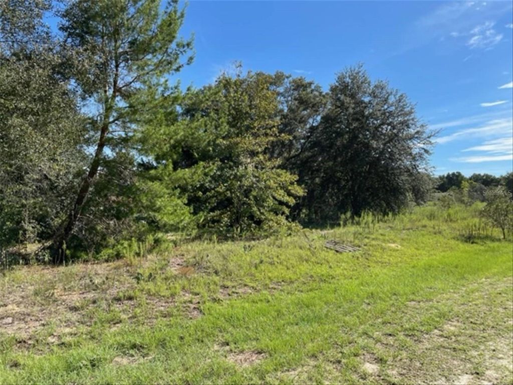 Photo of SW 104th Street, Dunnellon, FL 34432 (MLS # TB8361223)