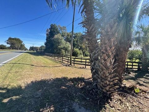 Tiny photo for 4540 W Highway 318, Citra, FL 32113 (MLS # OM713261)