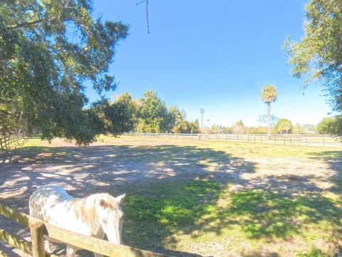 Tiny photo for 4540 W Highway 318, Citra, FL 32113 (MLS # OM713261)