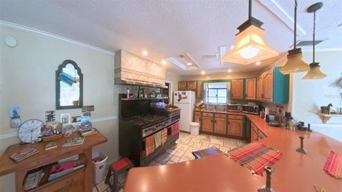 Tiny photo for 4540 W Highway 318, Citra, FL 32113 (MLS # OM713261)