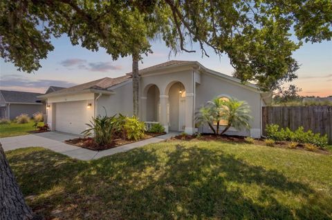Photo of 382 Fountainview Circle, Oldsmar, FL 34677 (MLS # TB8499334)