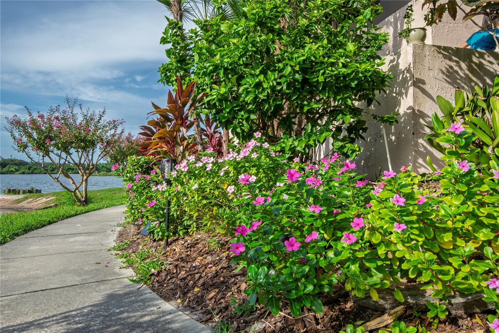 SANDAL COVE CONDO - Residential