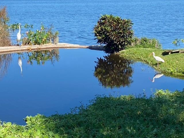 SANDAL COVE CONDO - Residential