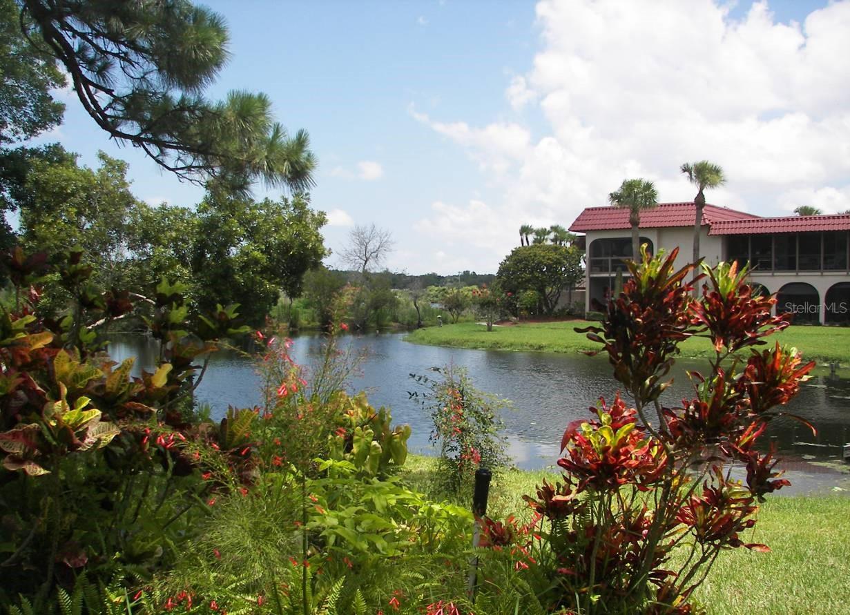 Experience OLD FLORIDA charm in the coveted waterfront community of SANDAL COVE! Nestled along iconic Bayshore Blvd., this 1-bedroom, 1-bath ground-floor retreat offers lush landscaping, a sparkling community pool, and tranquil lake views from your rear lanai. Step outside and enjoy Tampa Bay and the Ream Wilson Trail just across the street—perfect for walking, running, or biking. In addition, Historic downtown SAFETY HARBOR and the world-renowned SAFETY HARBOR RESORT & SPA are just 1 mile away, offering waterfront dining, boutique shopping, and many lively community events. Inside, a spacious, open layout flows seamlessly from the living/dining area to a remodeled European-style kitchen featuring a custom island & soft-close cabinetry. Luxury vinyl tile flooring is installed throughout; (ceramic plank tile in both bath & lanai). The primary bedroom features a huge walk-in closet providing maximum storage & a large window with picturesque views. For your convenience, there is also an interior utility closet that can be outfitted with a washer/dryer, however, a community coin operated laundry facility is also available in the center of each building. Whether a full-time haven or second home, this is the CAREFREE COASTAL LIFESTYLE you’ve been dreaming about. Schedule your private showing today!