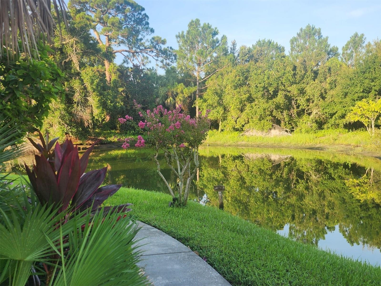 SANDAL COVE CONDO - Residential