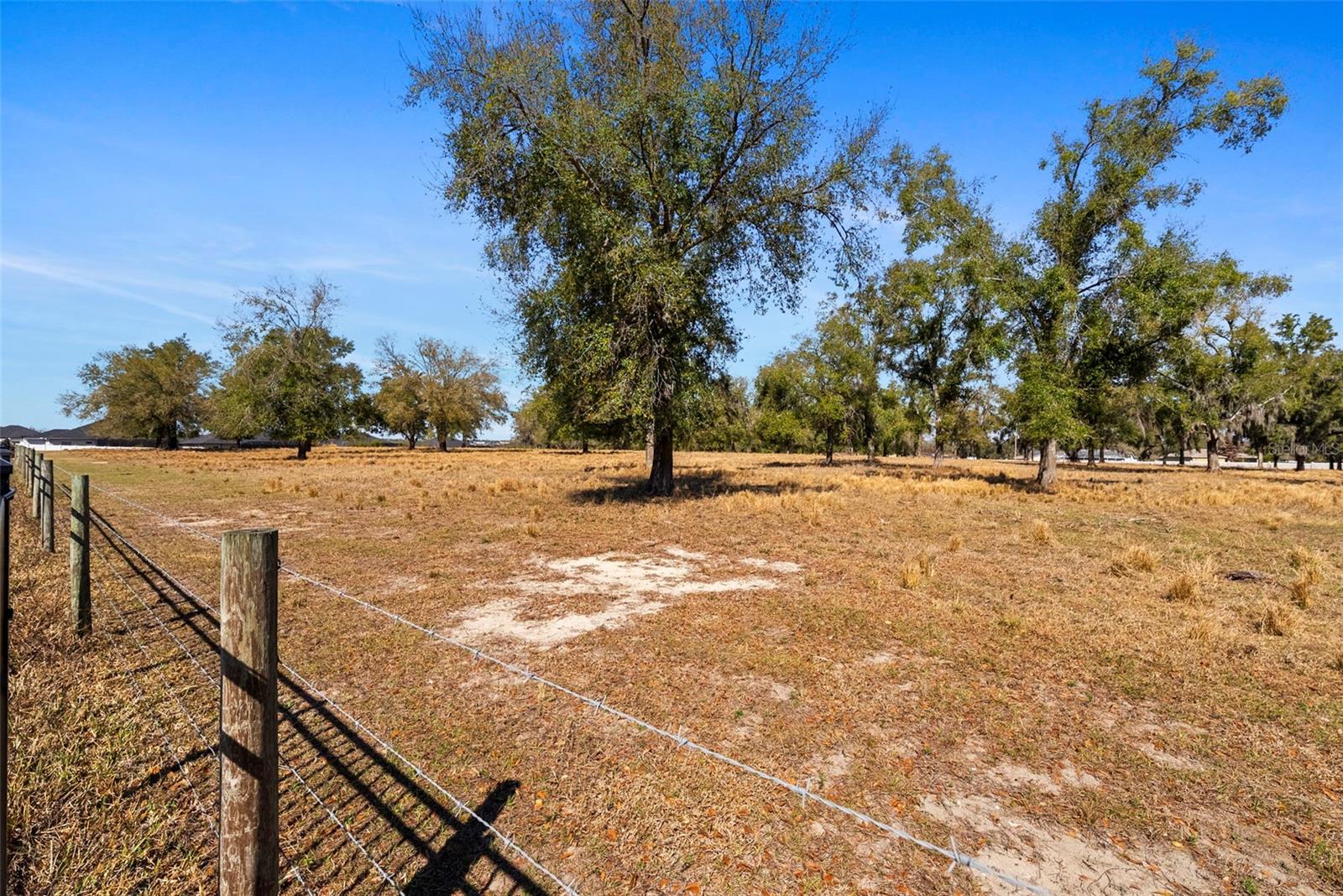 TREYMONT - Residential