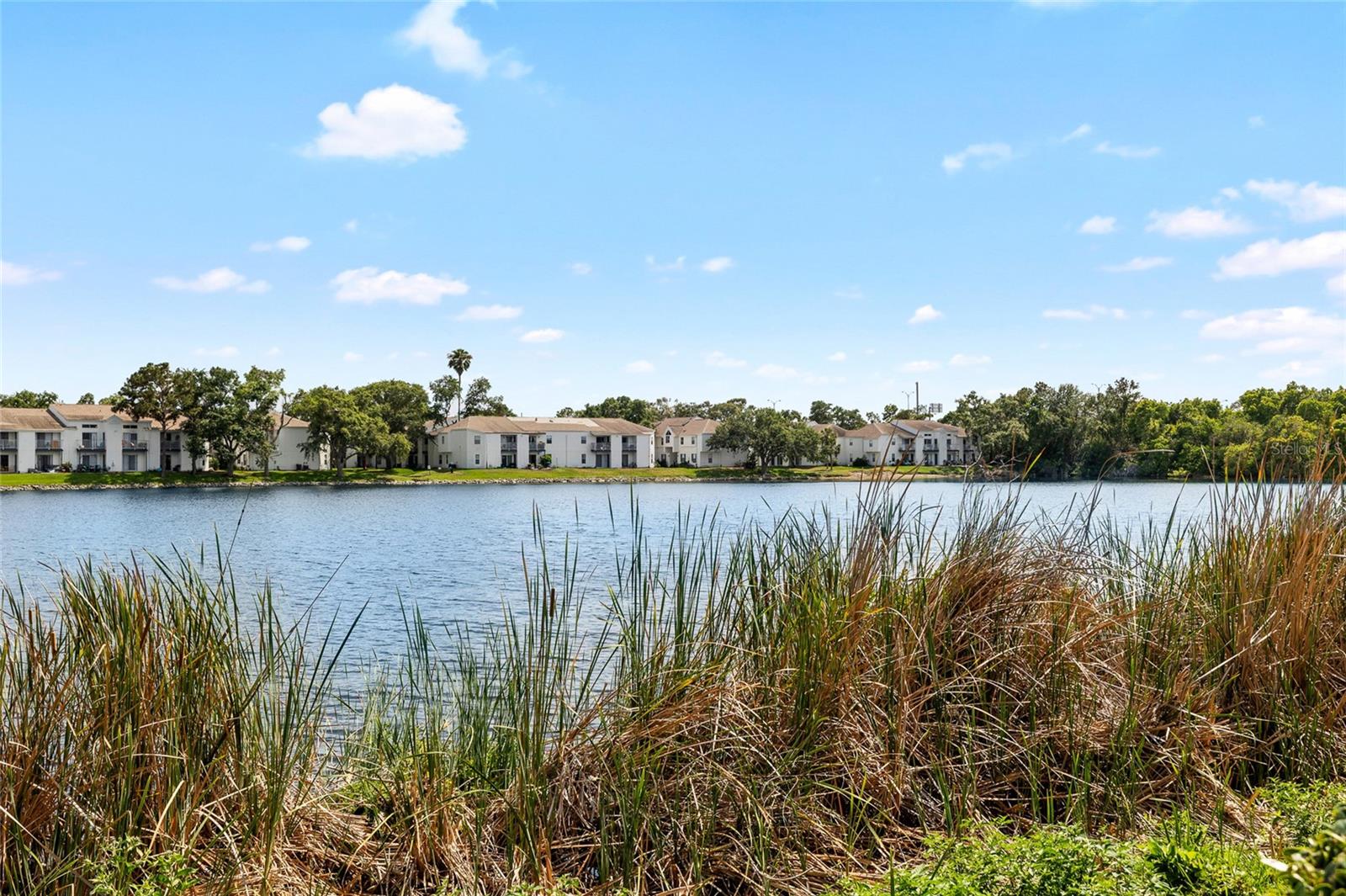 COVE AT LOGGERHEAD MARINA - Residential