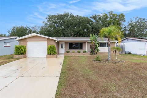 Photo of 3036 Blue Bird Drive, Holiday, FL 34690 (MLS # O6366135)