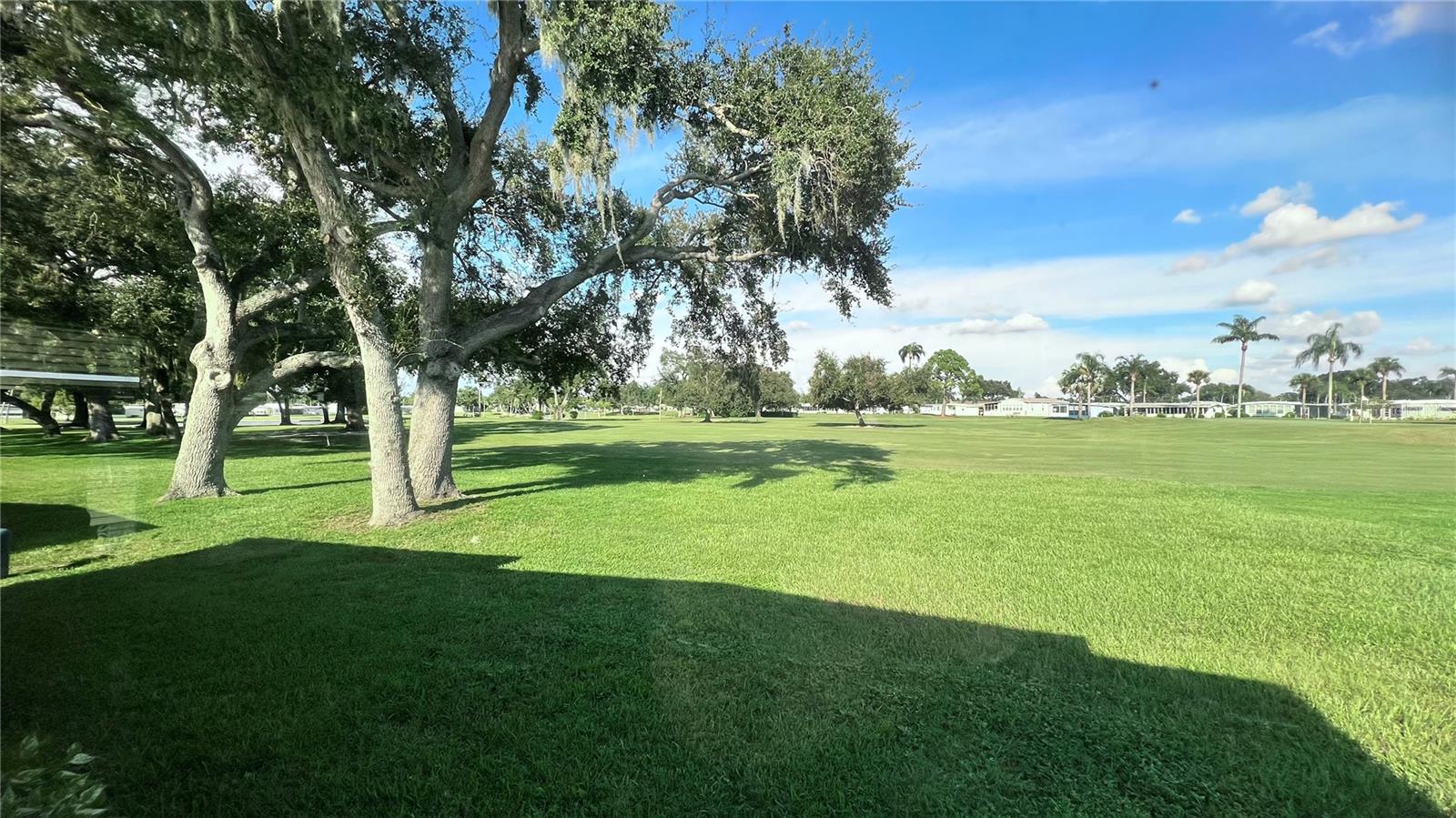 1100 BELCHER ROAD S 445