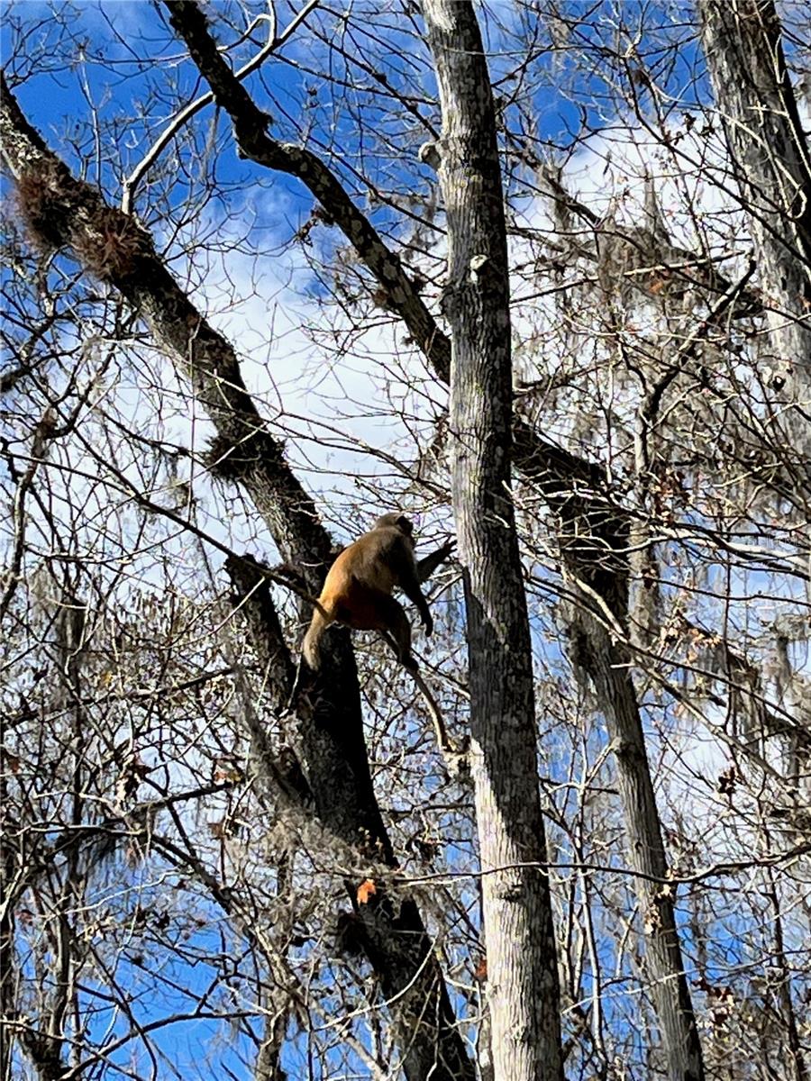 PRESERVE ESTATE - Land