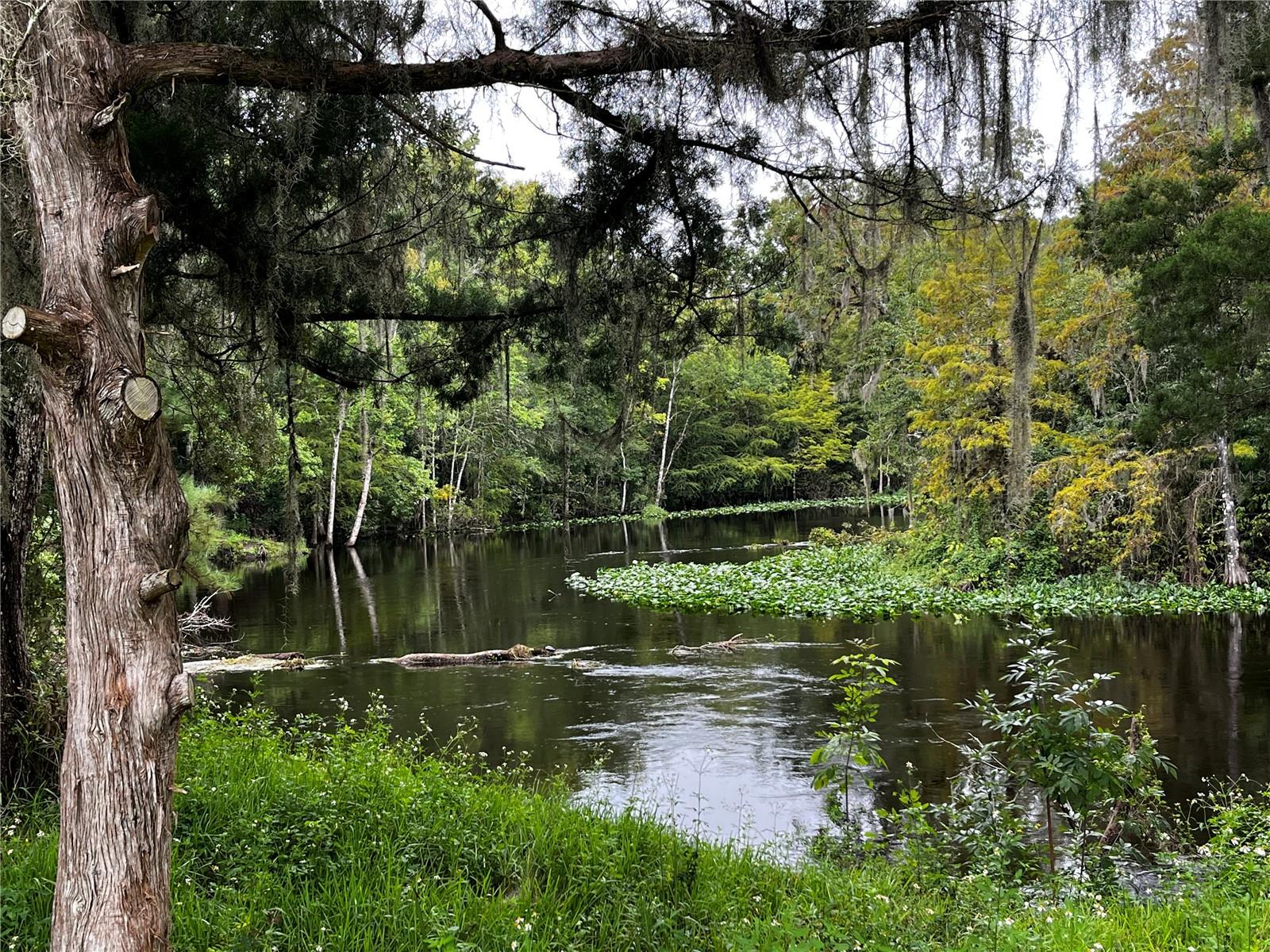 PRESERVE ESTATE - Land