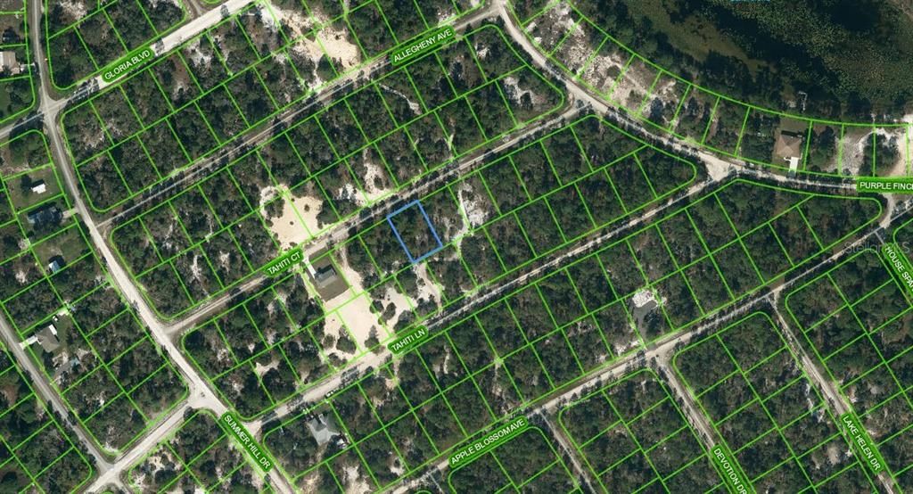 Photo of 415 Tahiti Court, Lake Placid, FL 33852 (MLS # OM624331)