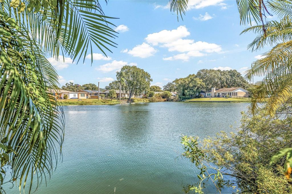 Photo of 7807 Summertree Lane, New Port Richey, FL 34653 (MLS # TB8438980)
