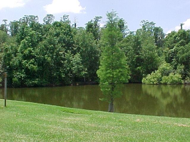 EAST LAKE WOODLANDS WOODLAKE RUN - Residential