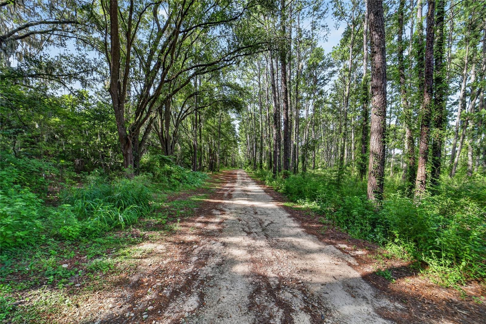 15020 W HIGHWAY 328