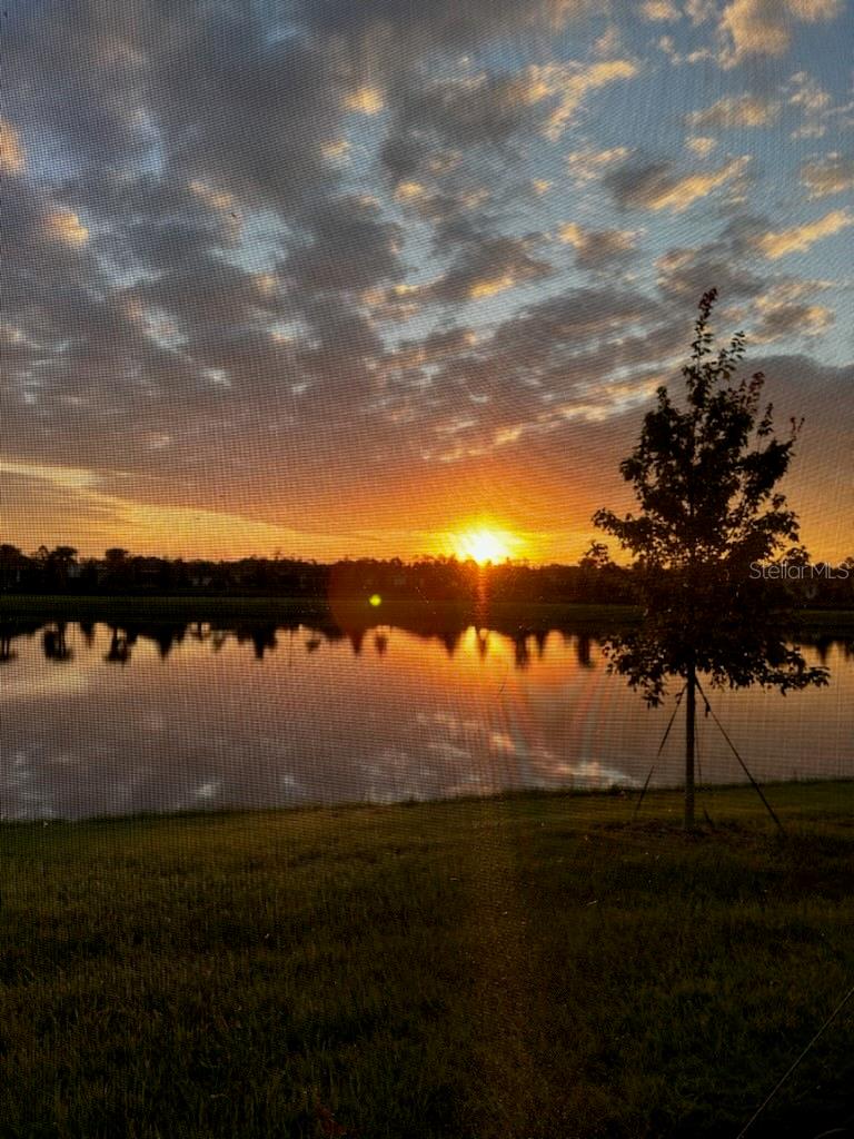 DEL WEBB SUNBRIDGE - Residential