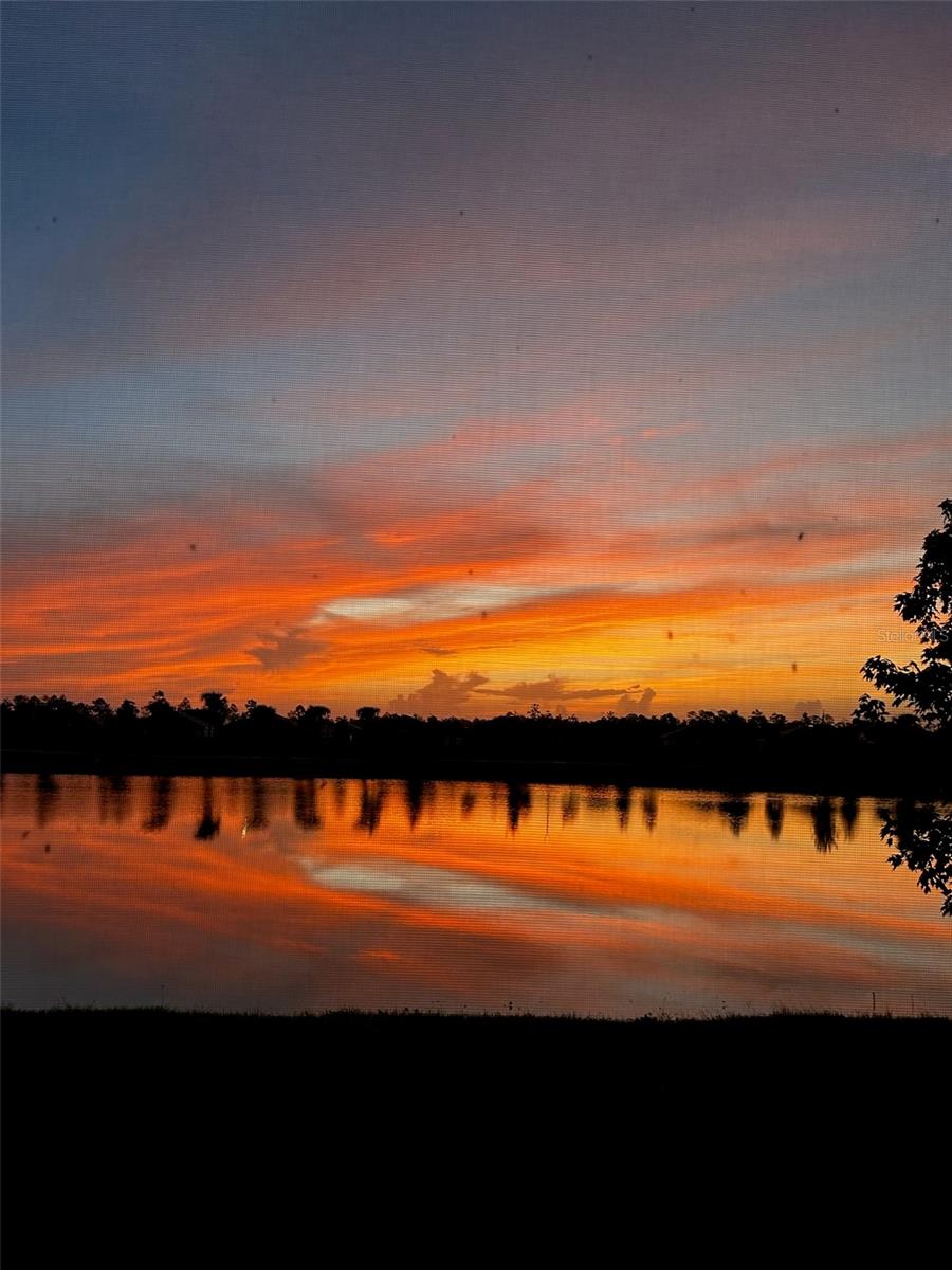 DEL WEBB SUNBRIDGE - Residential