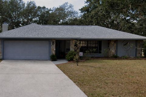 3207 92ND AVENUE E PARRISH FL 34219