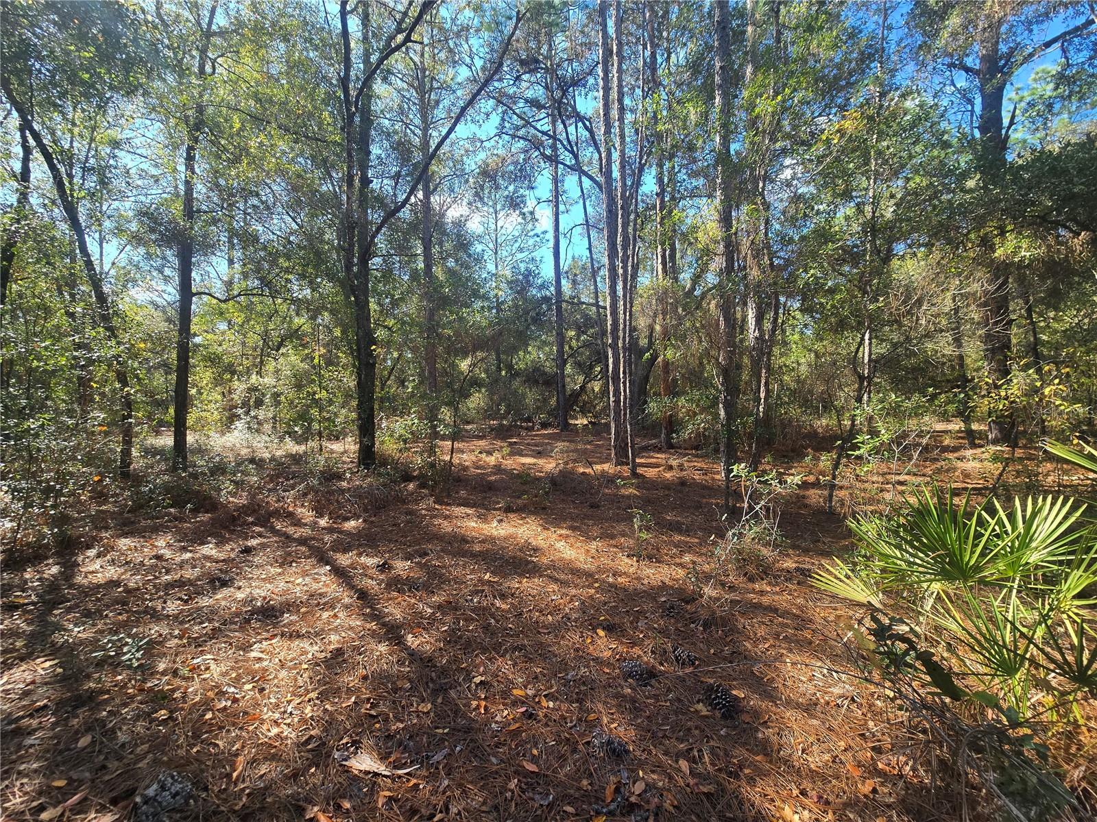 CITRUS SPGS UNIT 21 - Land