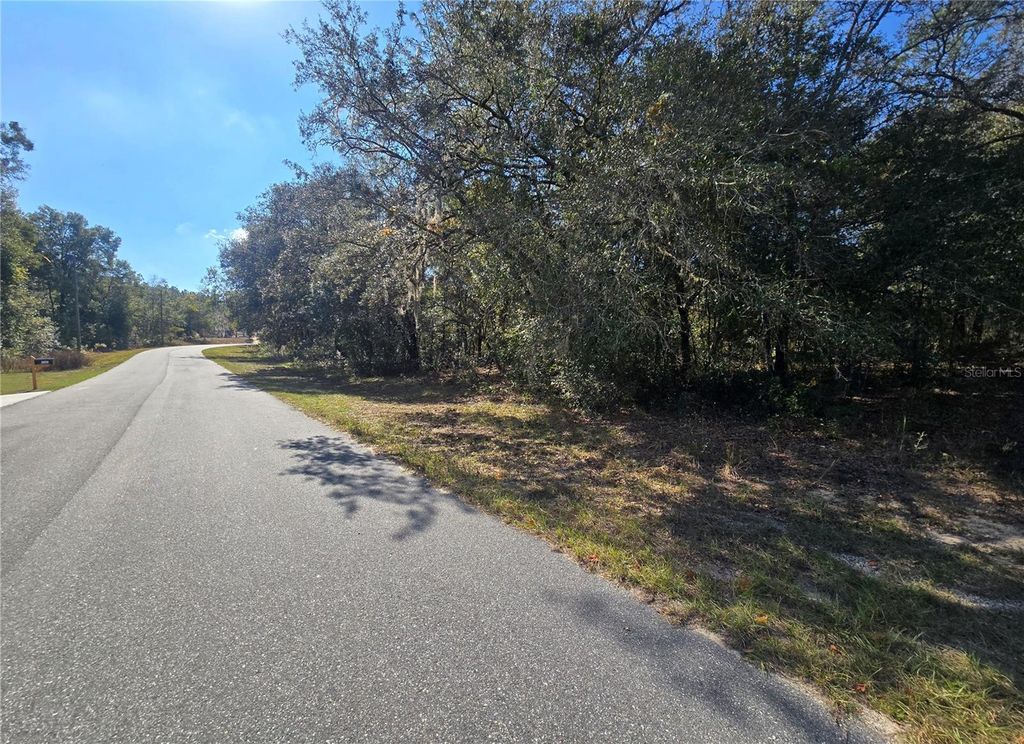 Photo of 11370 N Ortega Point, Dunnellon, FL 34433 (MLS # OM714120)