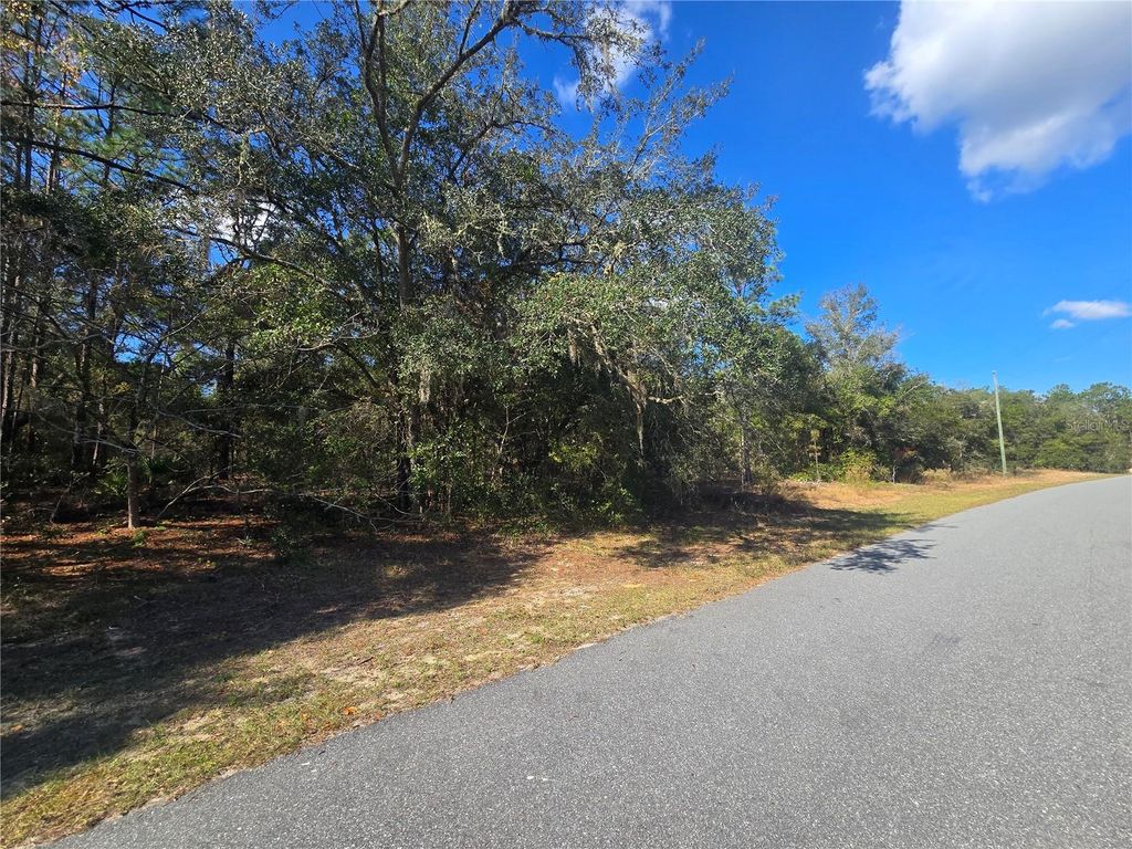 Photo of 11370 N Ortega Point, Dunnellon, FL 34433 (MLS # OM714120)