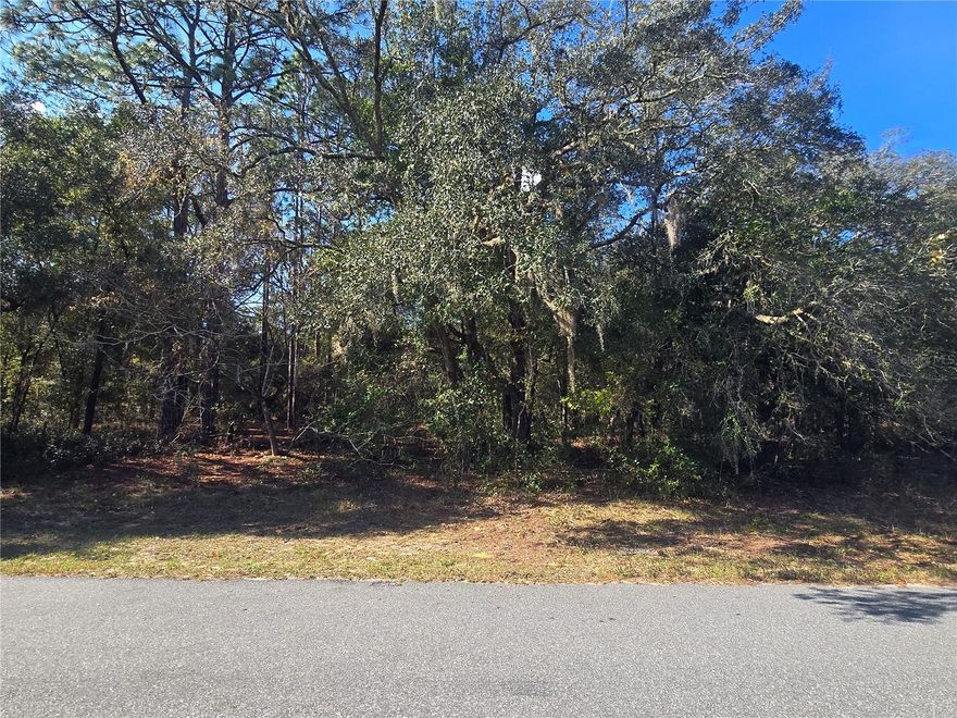 A slice of Citrus Springs that’s too often overlooked! This homesite sits in a scenic and natural part of Citrus Springs with a great feel all around. Paved road access, free from flood hazards, and zoned for single-family homes — a perfect spot to develop your Florida home. Surrounded by trees and plenty of four-wheeling trails for outdoor fun. Enjoy quick access to Dunnellon and the beauty of the Nature Coast or take an easy drive to Ocala for all your shopping, dining, and amenities. Just minutes to the Rainbow River, Rainbow Springs State Park, bicycle and hiking trails, and more. Here’s your opportunity to own your piece of Florida.