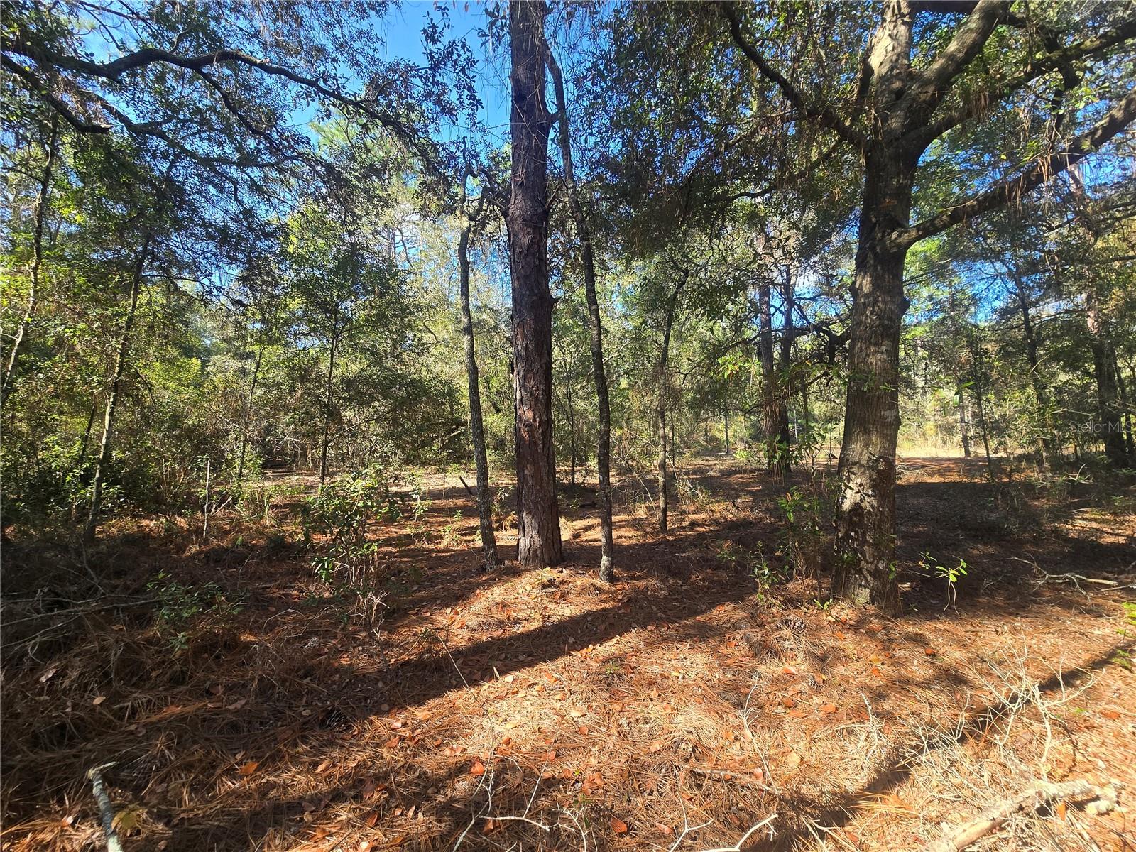 CITRUS SPGS UNIT 21 - Land