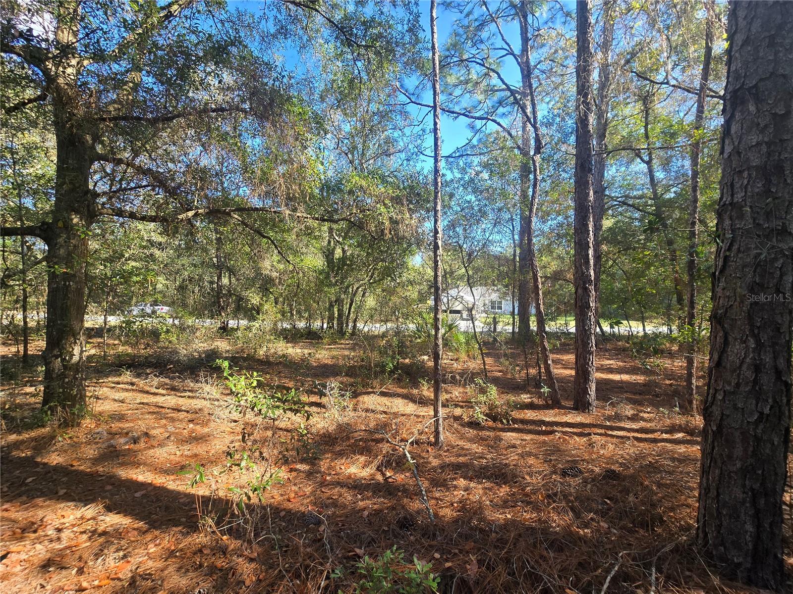 CITRUS SPGS UNIT 21 - Land