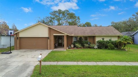 A home in VALRICO