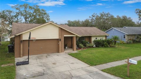 A home in VALRICO