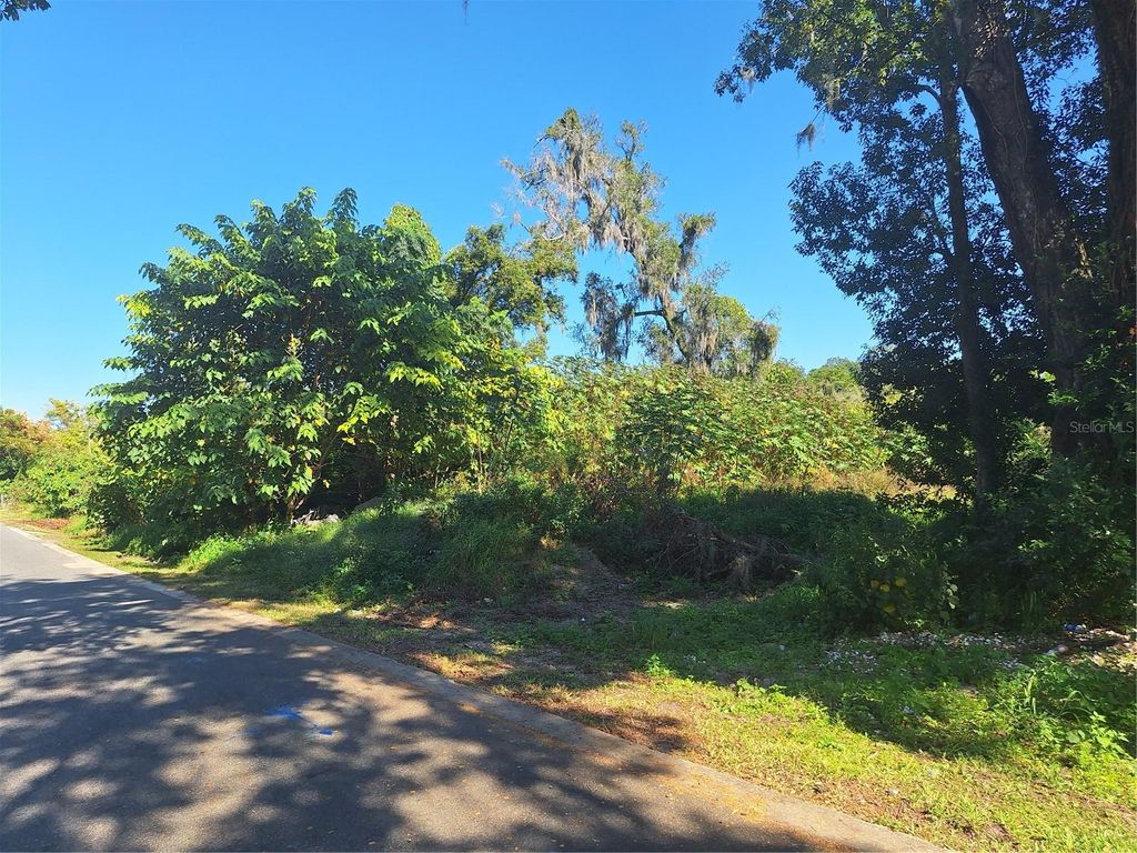 Photo of 335 E 12th Street, Apopka, FL 32703 (MLS # O6362297)