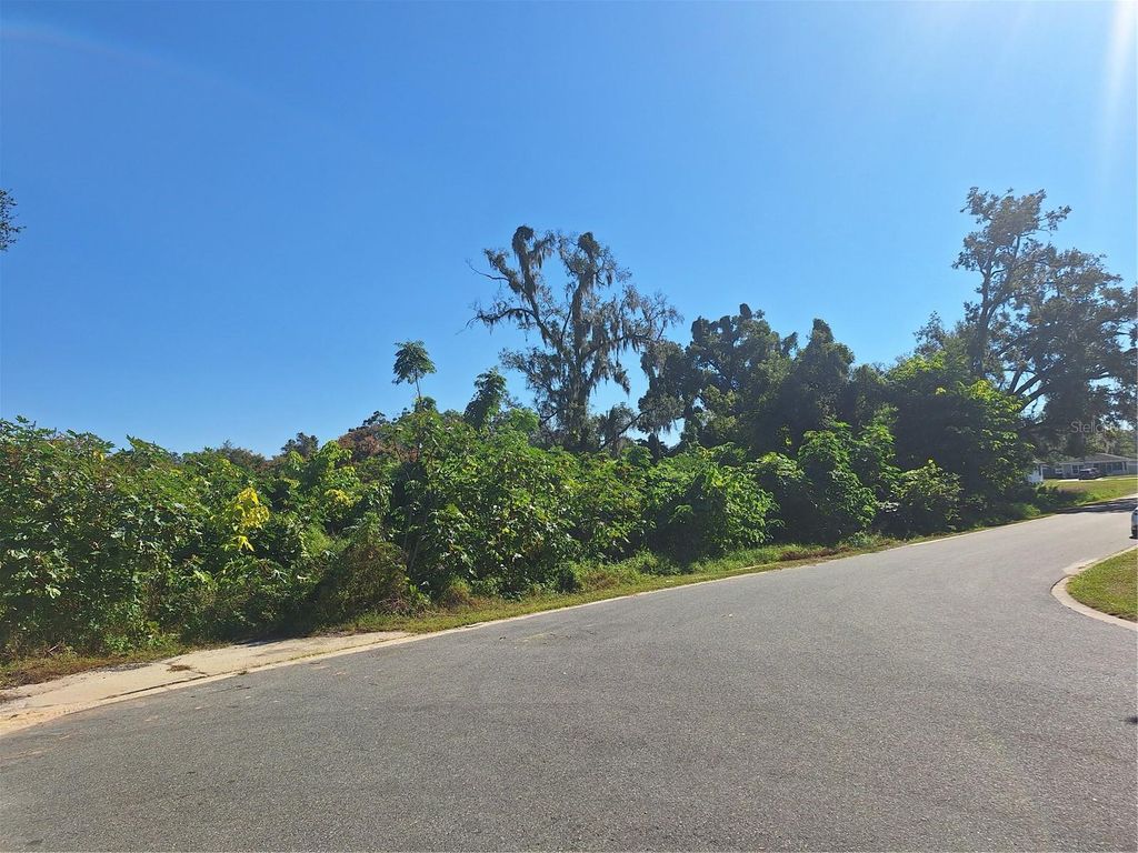 Photo of 335 E 12th Street, Apopka, FL 32703 (MLS # O6362297)