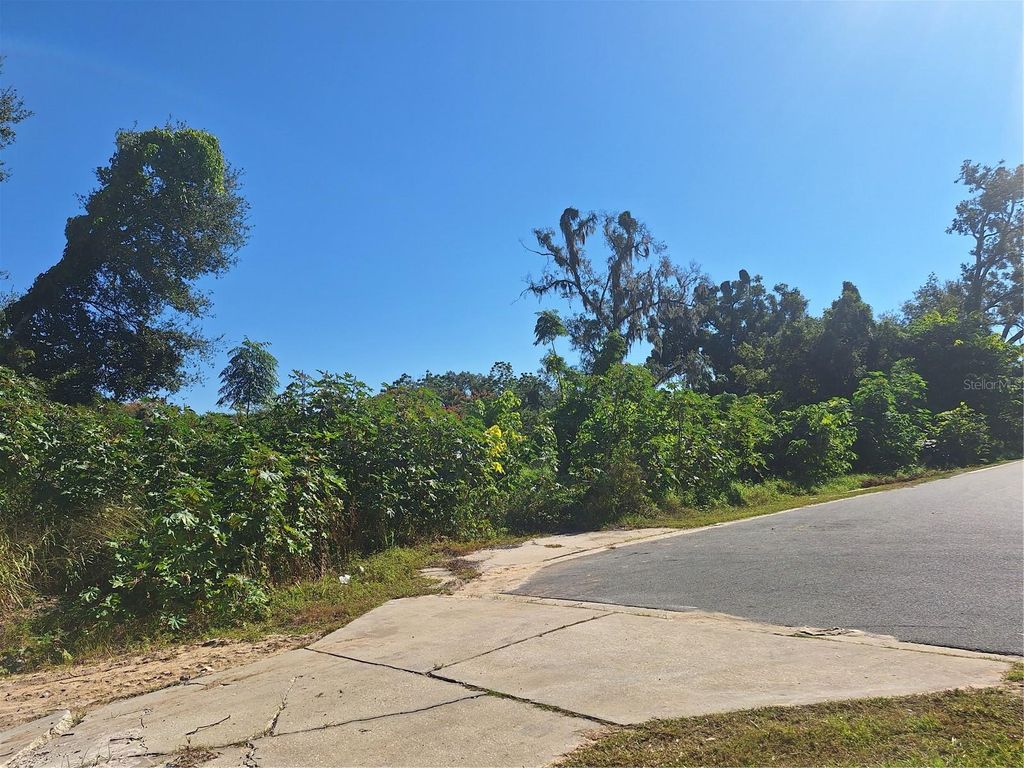 Photo of 335 E 12th Street, Apopka, FL 32703 (MLS # O6362297)