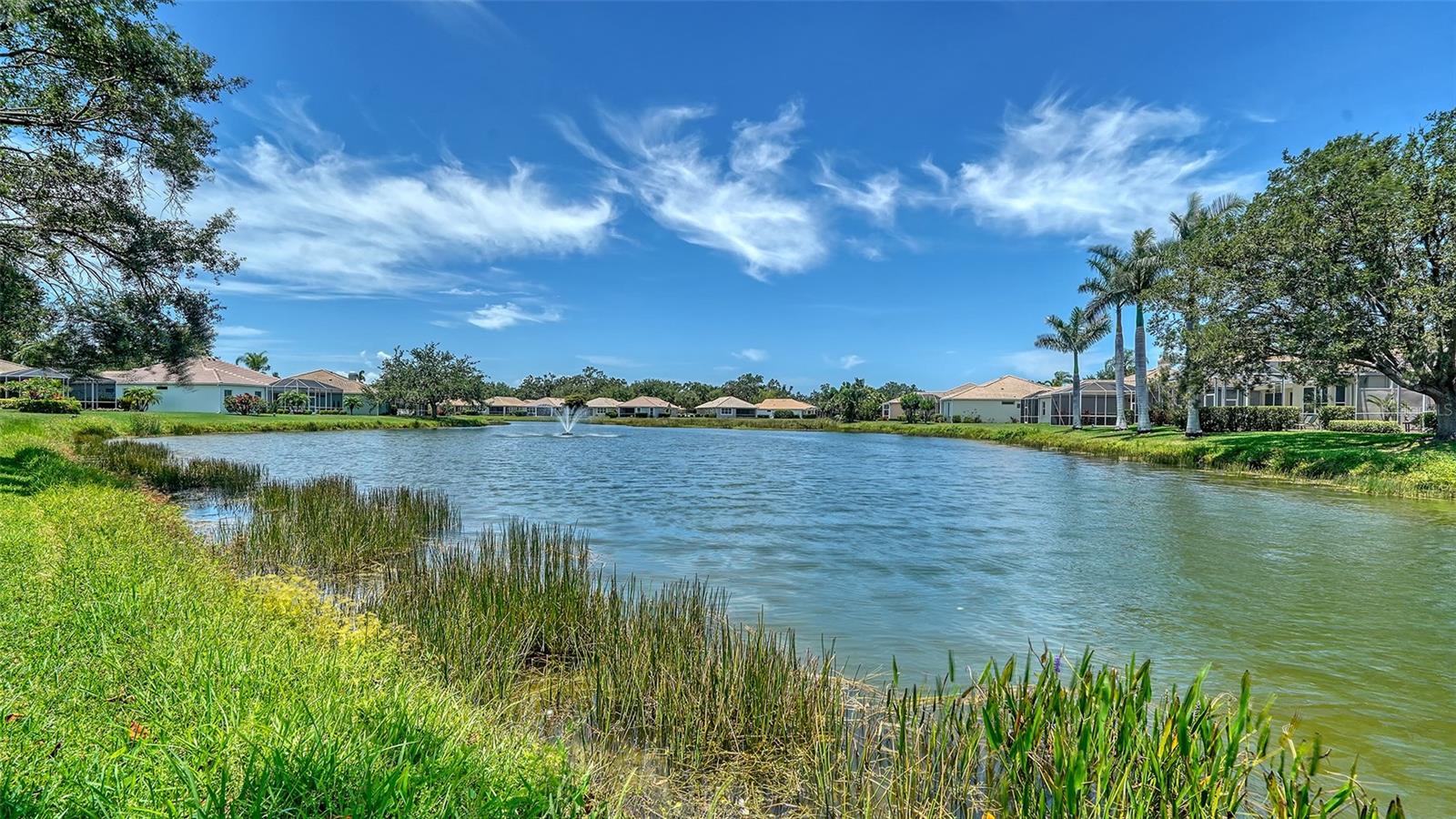 VILLA ROSA - Residential