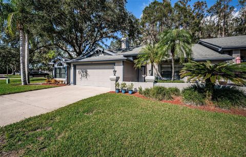 A home in OLDSMAR