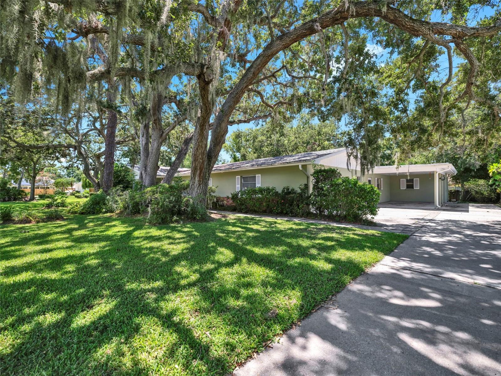 58 ARNONI DRIVE